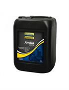 AMBRA MULTI G 10W-30 20L